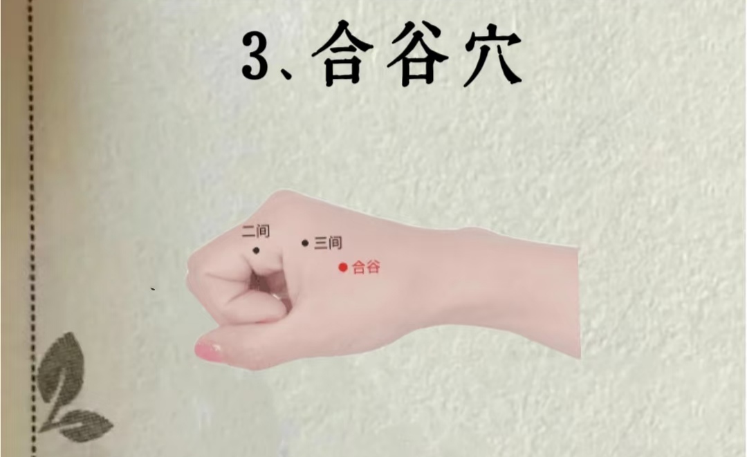 合谷穴