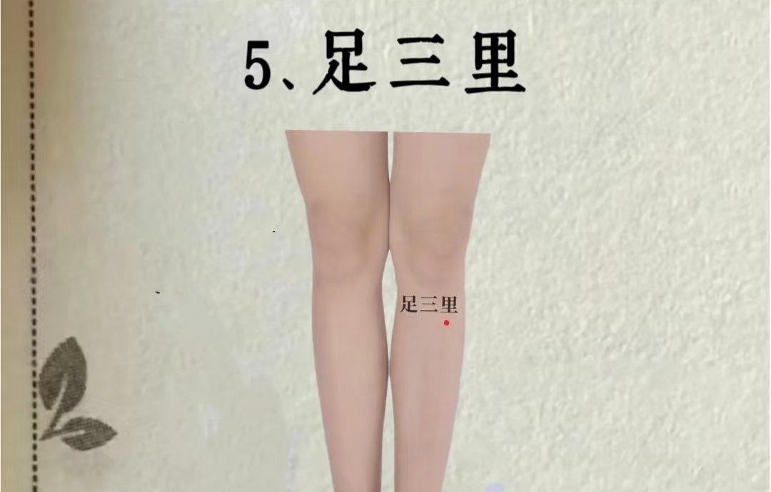 足三里穴
